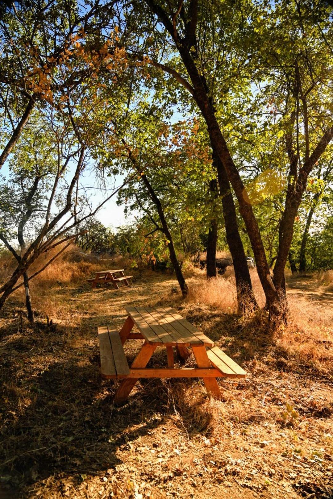 Campground At Sequoia Mountain Farms - Bring Your Own Tent Or Rv - No Bedrooms Or Beds Provided Miramonte Exterior foto